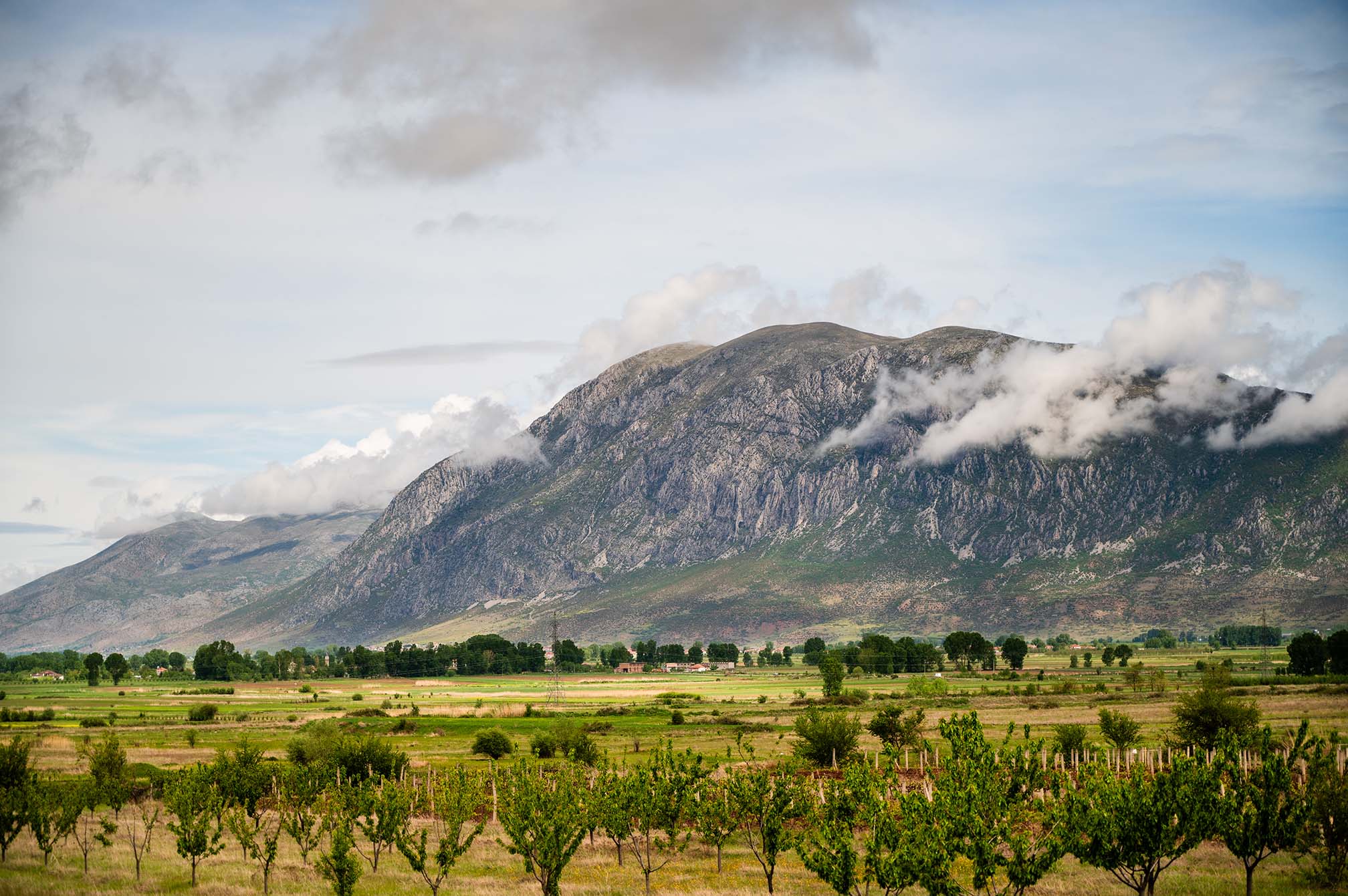 ALBANIA